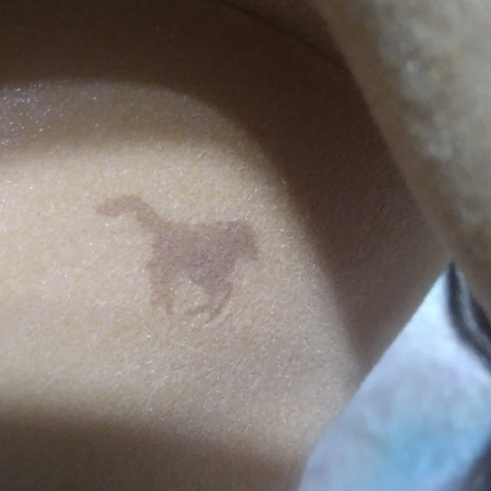 Spirit Dreamworks 2002 Vintage Horse